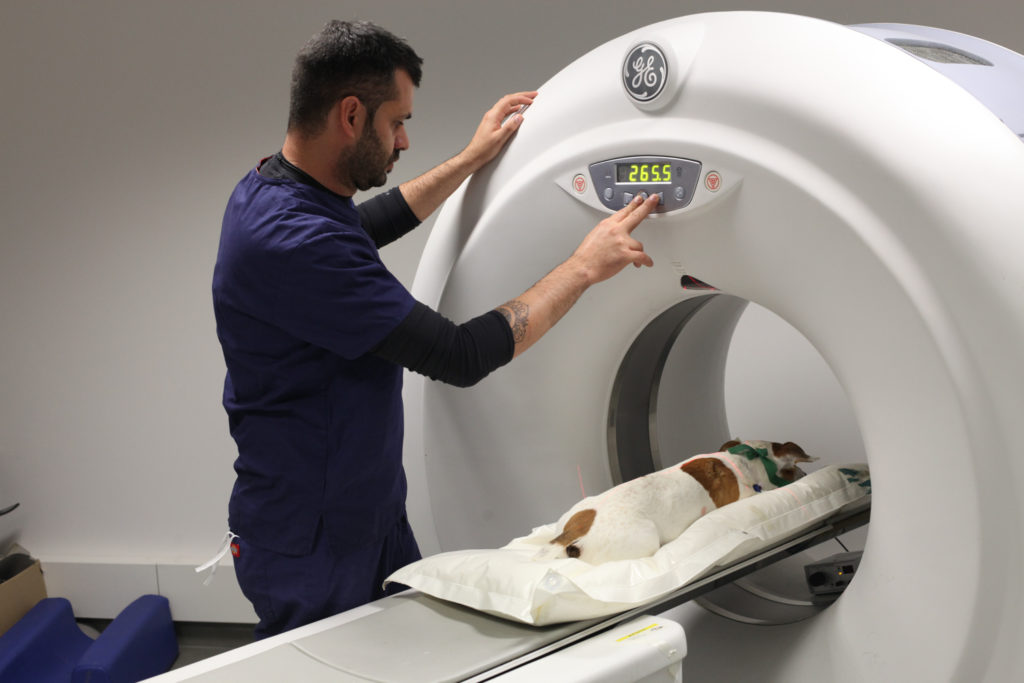 Scanner pour chiens et chats sur Marseille et La Ciotat Animedis